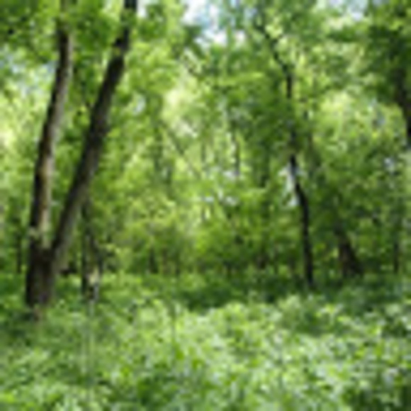 Meet your Posher, Erika - Picture 1 of 1